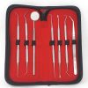 dental cleaning tools set