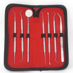 dental cleaning tools set